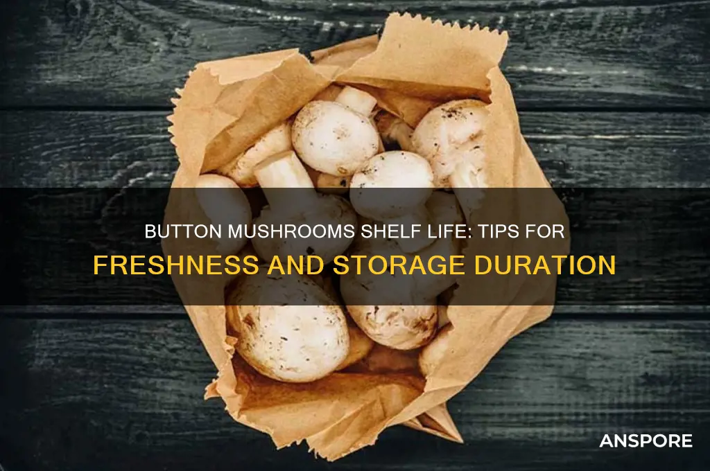 how long can button mushrooms last