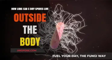 C. Diff Spores Survival: How Long Do They Live Outside the Body?