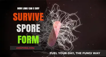 C. Diff Spore Survival: Understanding Longevity and Risks