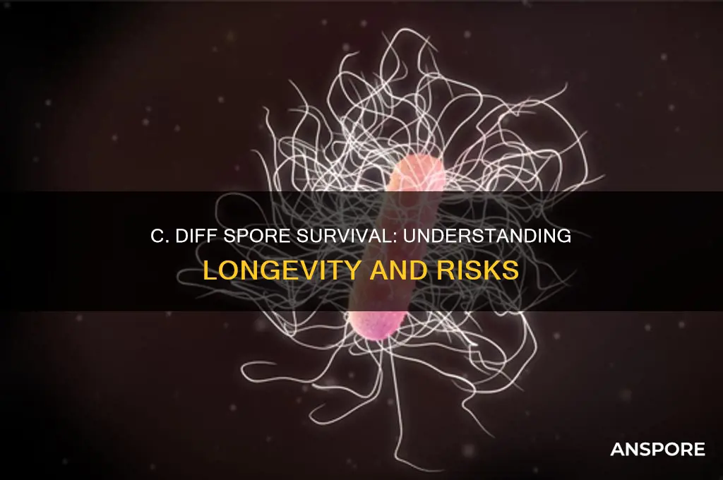 how long can c diff survive spore form