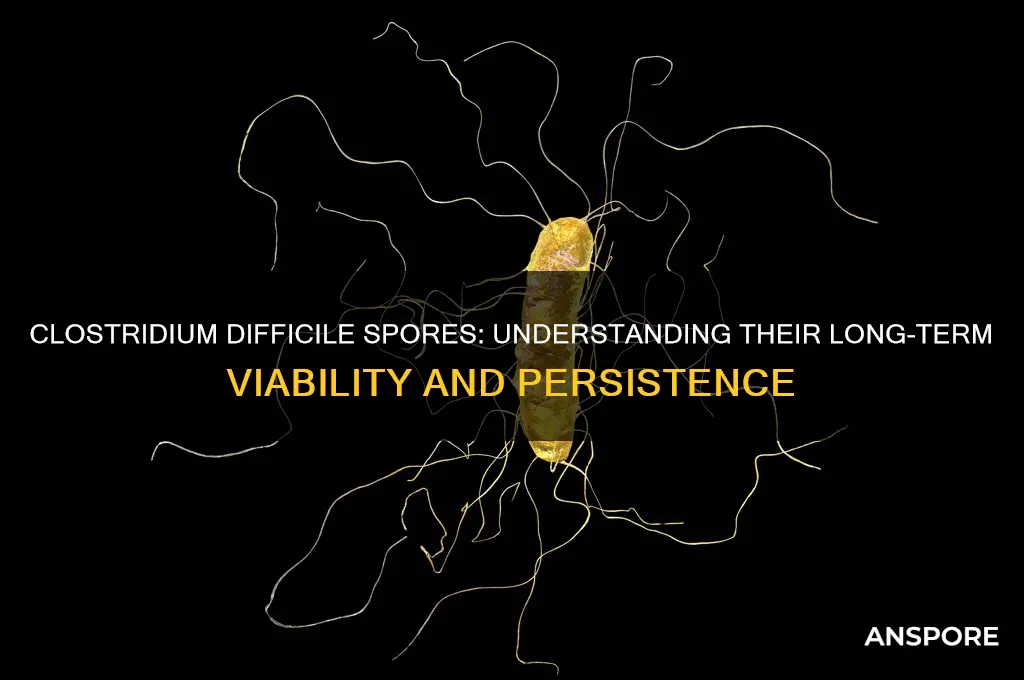 how long can clostridium difficile spores remain viable
