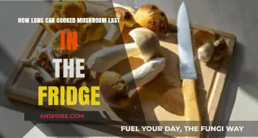Cooked Mushrooms in the Fridge: How Long Do They Last?