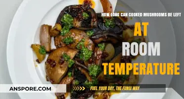Cooked Mushrooms at Room Temp: Safe Storage Time Explained