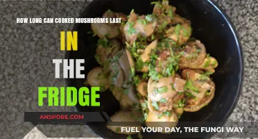 Cooked Mushrooms Storage: How Long Do They Last in the Fridge?