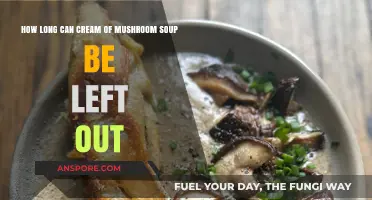 Cream of Mushroom Soup: Safe Storage Time and Risks Explained