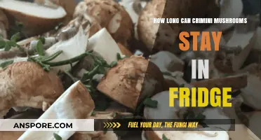 Crimini Mushrooms: Optimal Fridge Storage Time and Freshness Tips