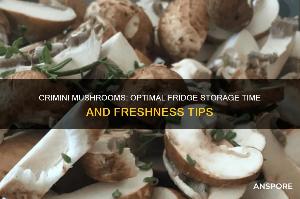 how long can crimini mushrooms stay in fridge