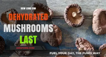 Dehydrated Mushrooms Shelf Life: How Long Do They Last?