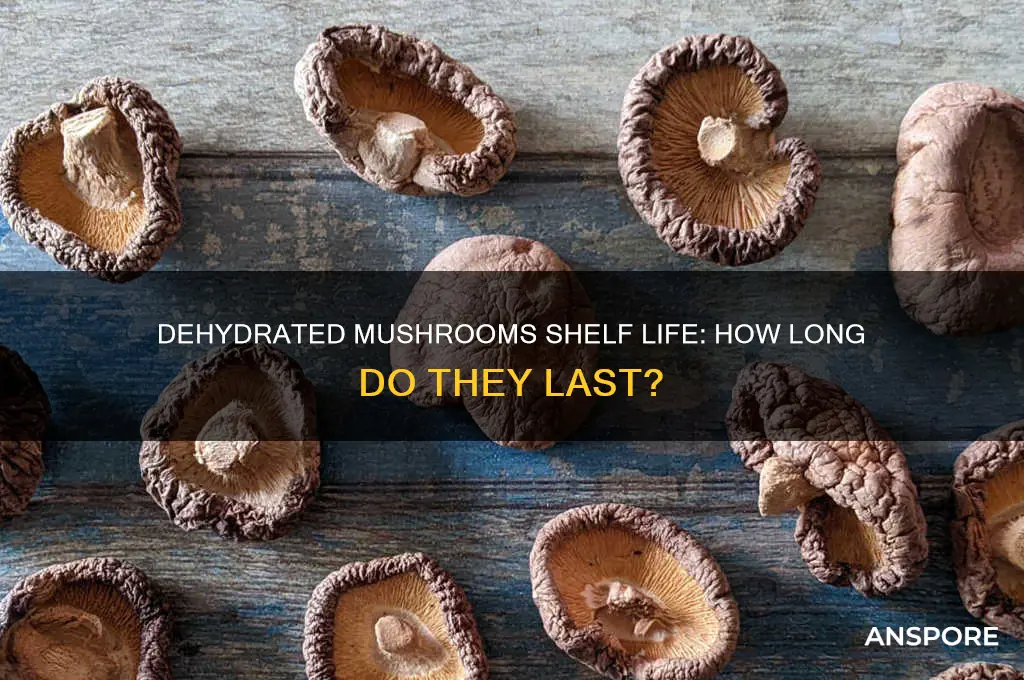 how long can dehydrated mushrooms last