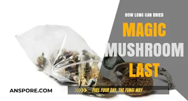 Shelf Life of Dried Magic Mushrooms: Longevity and Storage Tips