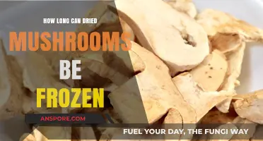 Freezing Dried Mushrooms: Optimal Storage Time and Preservation Tips