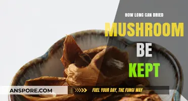 Shelf Life of Dried Mushrooms: Storage Tips for Longevity