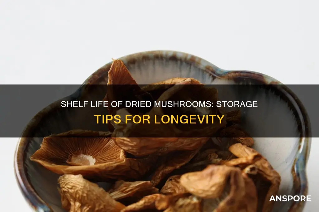 how long can dried mushrooms be kept