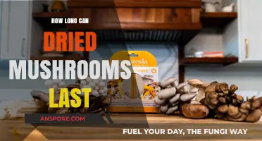 Maximizing Shelf Life: How Long Do Dried Mushrooms Last?