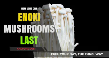 Enoki Mushrooms Shelf Life: Storage Tips for Freshness and Longevity