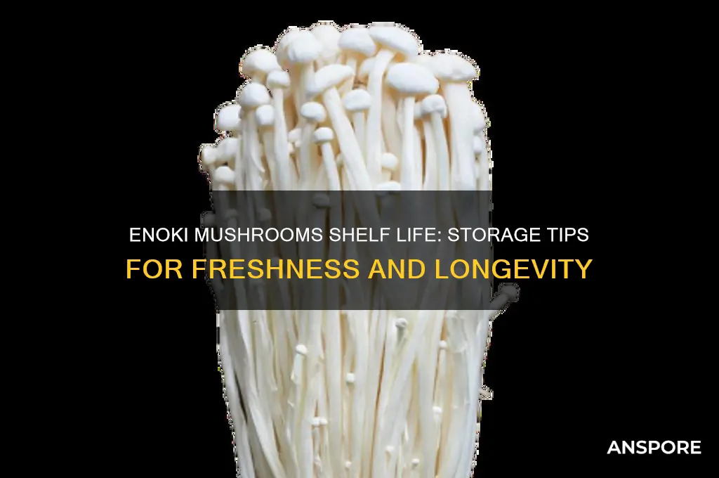 how long can enoki mushrooms last
