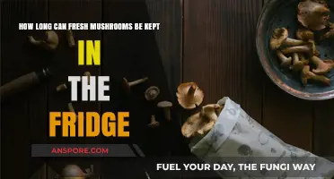 Fresh Mushrooms in the Fridge: Optimal Storage Time Explained