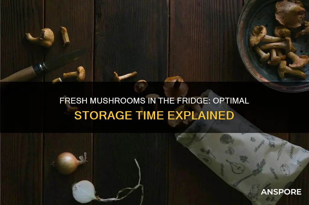 how long can fresh mushrooms be kept in the fridge