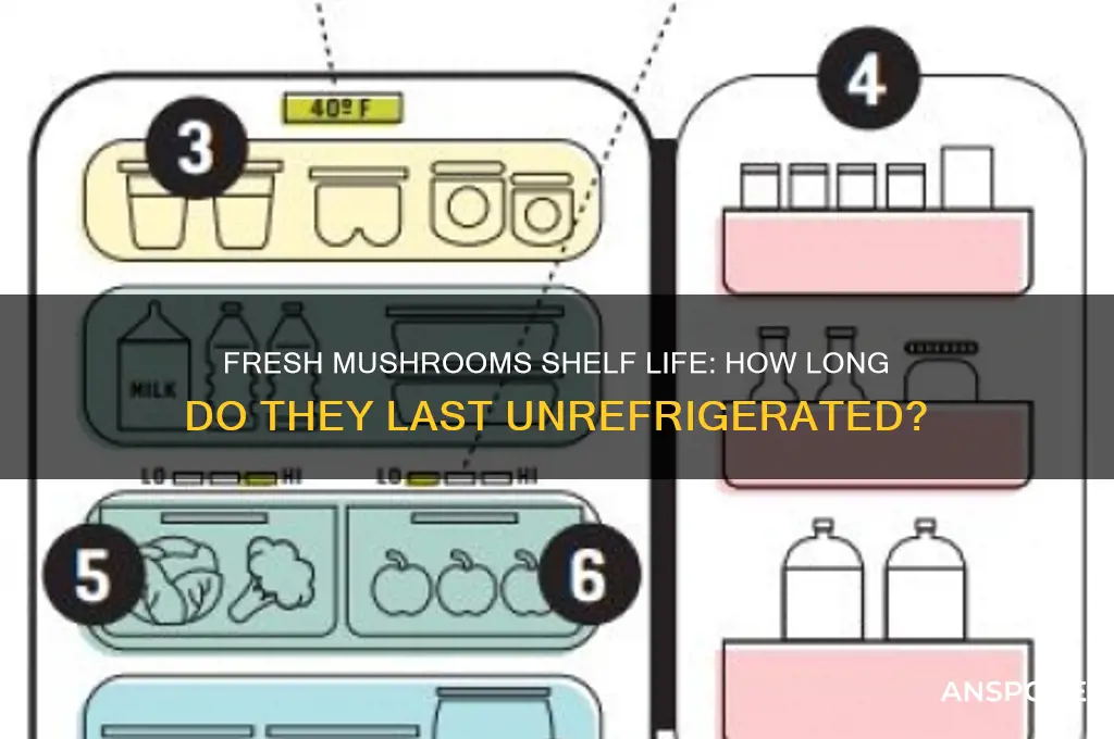 how long can fresh mushrooms last at room temperature