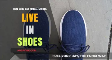 Surviving Spores: How Long Do Fungal Spores Live in Shoes?