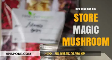 Magic Mushrooms Storage: How Long Can You Preserve Psilocybin?
