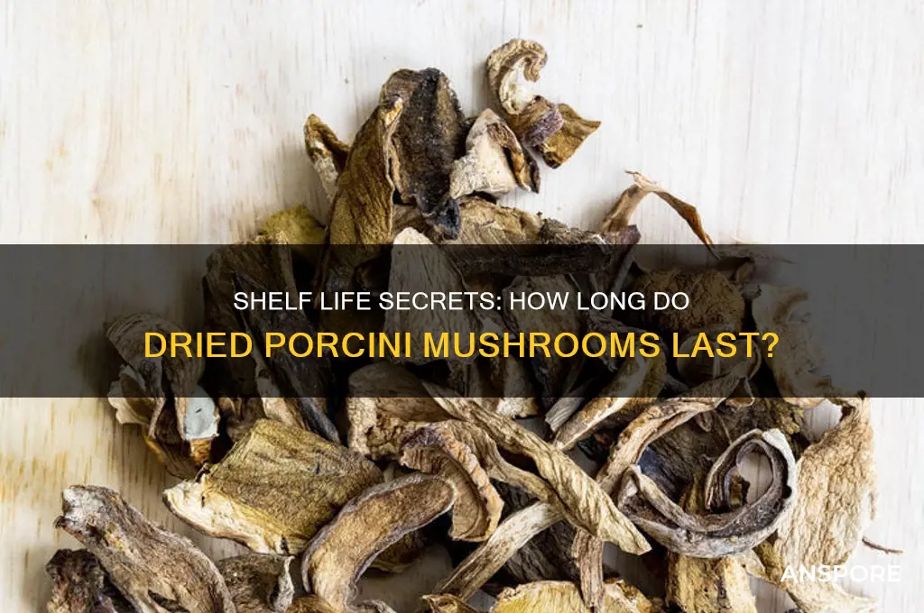 how long can i keep dried porcini mushrooms