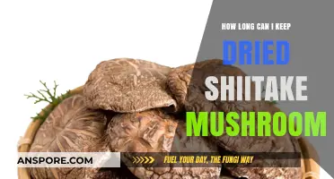 Shelf Life of Dried Shiitake Mushrooms: Storage Tips and Duration