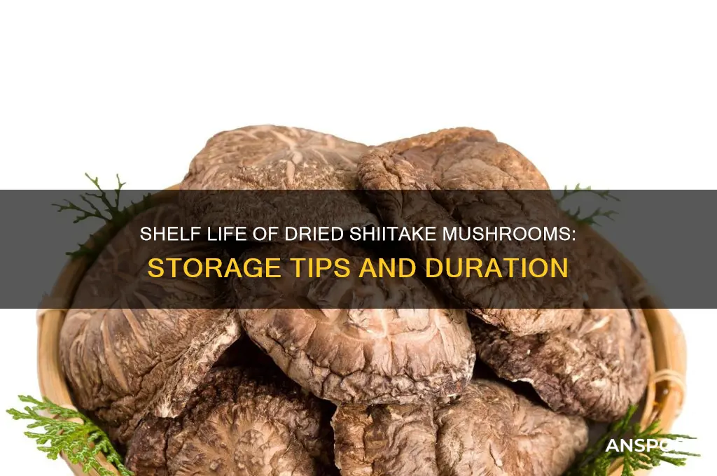 how long can i keep dried shiitake mushrooms