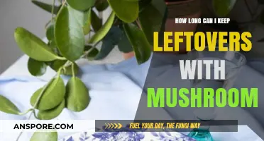 Mushroom Leftovers: Safe Storage Tips and Shelf Life Explained