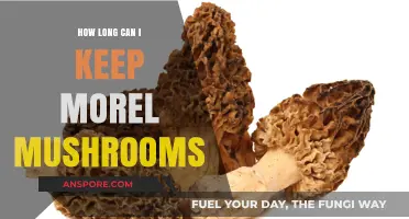 Maximizing Freshness: Optimal Storage Tips for Morel Mushrooms