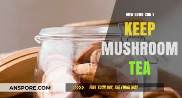Mushroom Tea Shelf Life: Storage Tips for Freshness and Potency