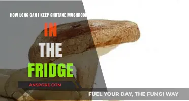 Shiitake Mushrooms Storage Guide: Fridge Lifespan and Freshness Tips