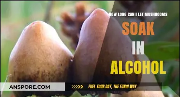 Soaking Mushrooms in Alcohol: Optimal Duration for Flavor Extraction