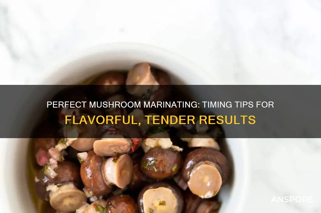 how long can i marinate mushrooms