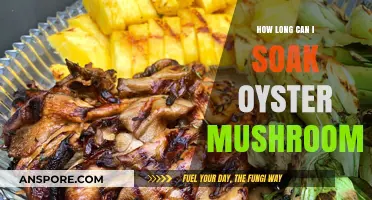 Perfect Oyster Mushroom Soaking: Optimal Time for Best Results