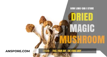 Storing Dried Magic Mushrooms: Shelf Life and Preservation Tips