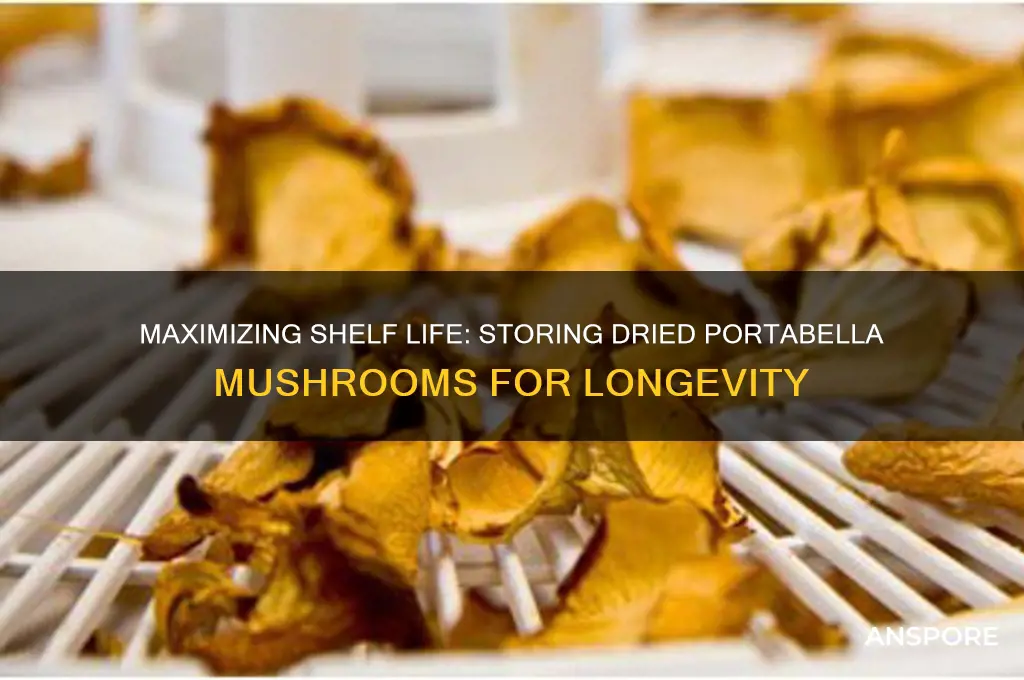 how long can i store dried portabella mushrooms