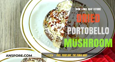 Storing Dried Portobello Mushrooms: Shelf Life and Preservation Tips
