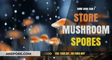 Storing Mushroom Spores: Optimal Shelf Life and Preservation Tips