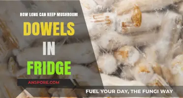 Storing Mushroom Dowels: Fridge Lifespan and Freshness Tips