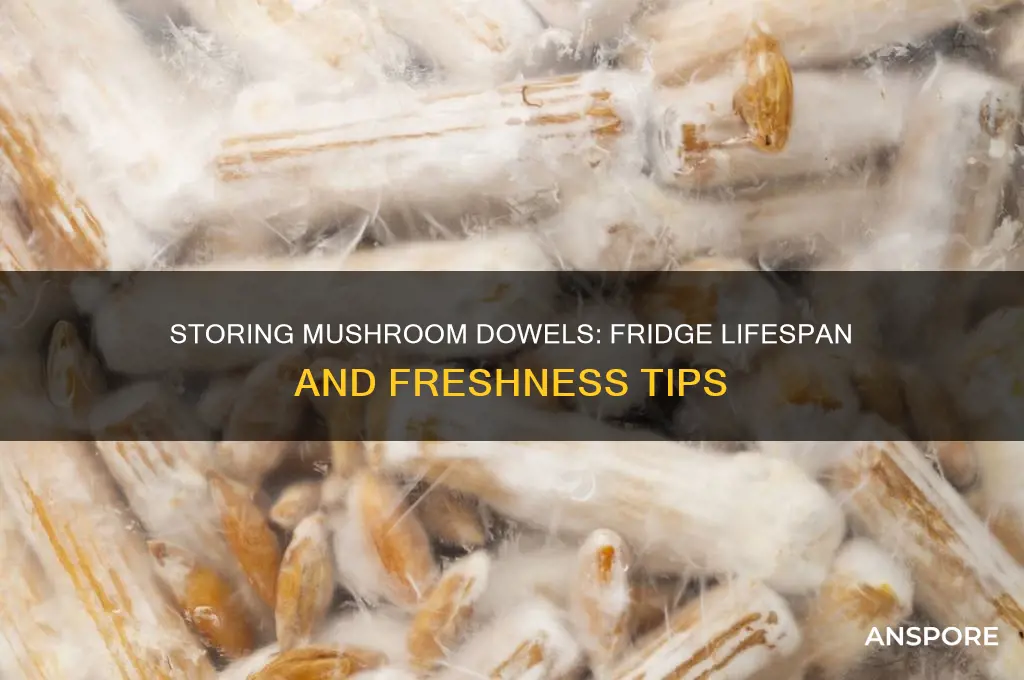 how long can keep mushroom dowels in fridge