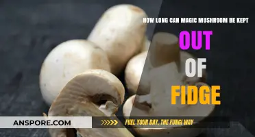 Magic Mushrooms Shelf Life: How Long Do They Last Unrefrigerated?