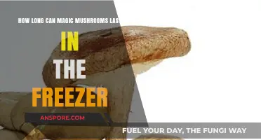 Freezing Magic Mushrooms: Extending Shelf Life and Potency Tips