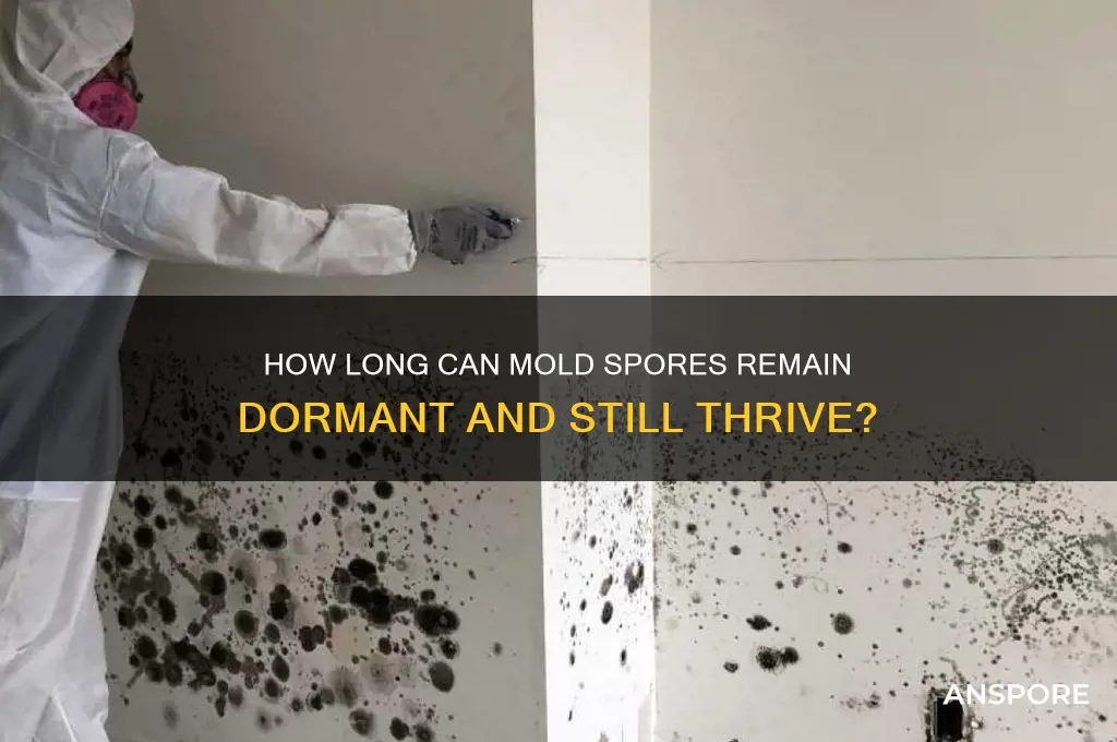 how long can mold spores stay dormant