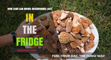 Storing Morel Mushrooms: Fridge Lifespan and Freshness Tips