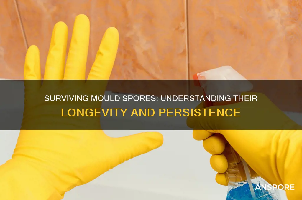 how long can mould spores survive