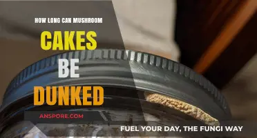 Dunking Mushroom Cakes: Optimal Time for Perfect Texture and Flavor