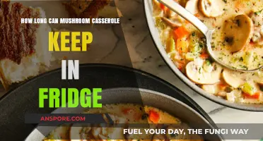 Mushroom Casserole Storage: Fridge Shelf Life and Freshness Tips
