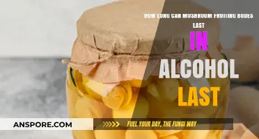 Preserving Mushroom Fruiting Bodies: Alcohol Longevity Explained
