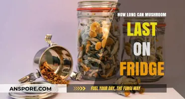 Maximizing Freshness: How Long Do Mushrooms Last in the Fridge?
